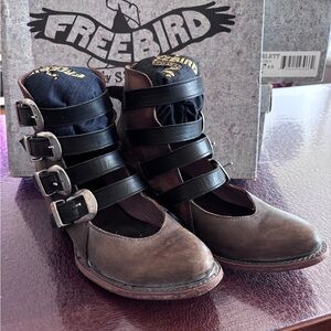 Freebird by Steven Brown Scarlett